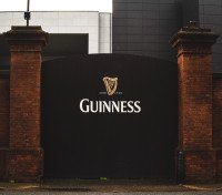 11 Image 11