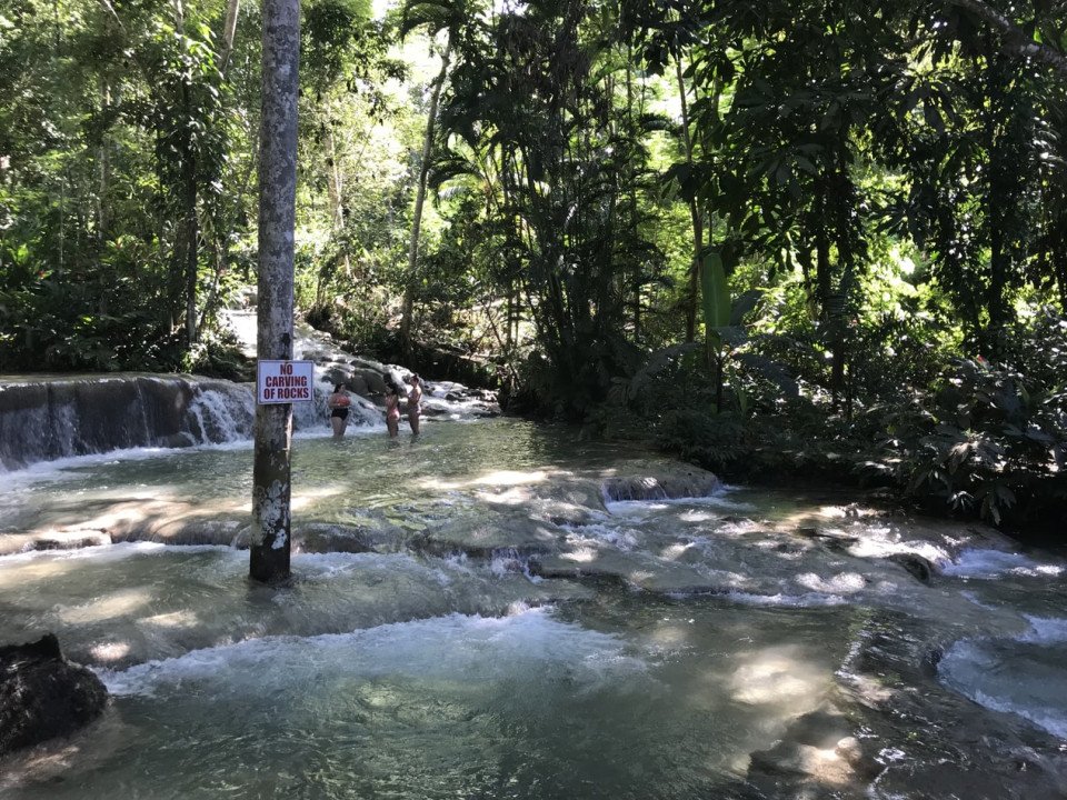8 Image 8