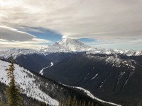 11 Image 11