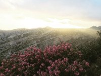 5 Image 5