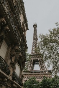 17 Image 17