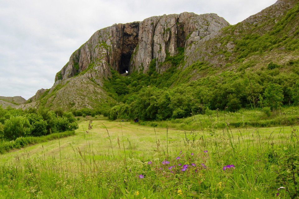 7 Image 7