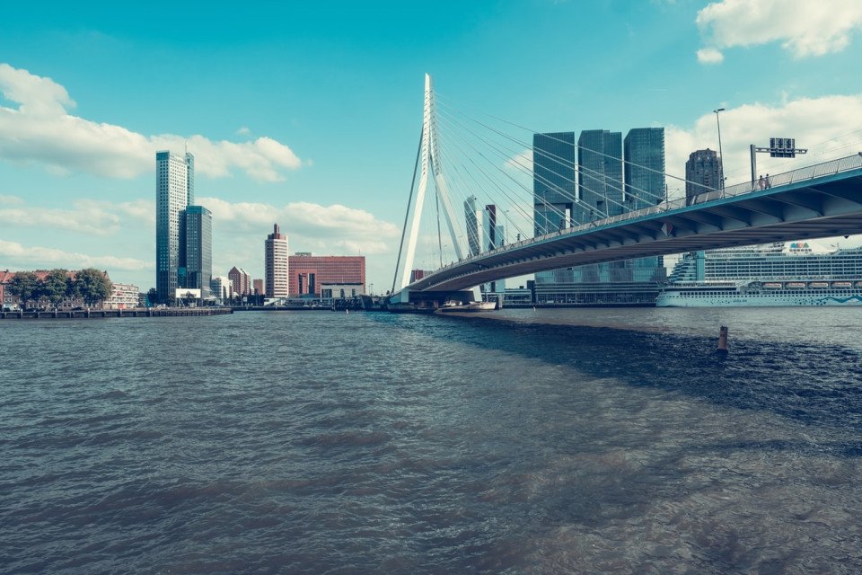 10 Image 10