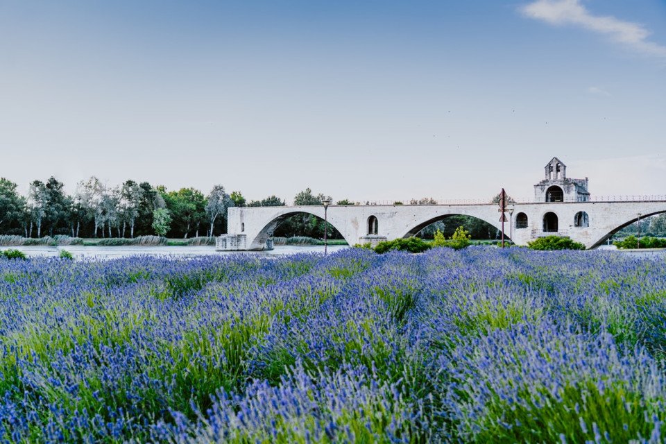 History and Art of the Rhône River Cruise - MS Thomas Hardy