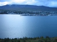 14 Image 14