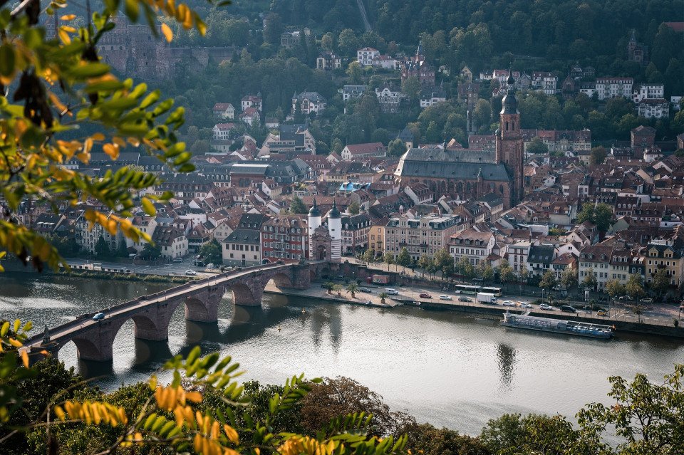Jewels of the Rhine search image