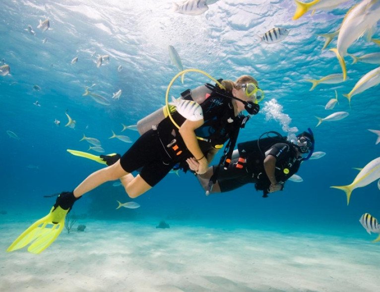 Scuba Certification