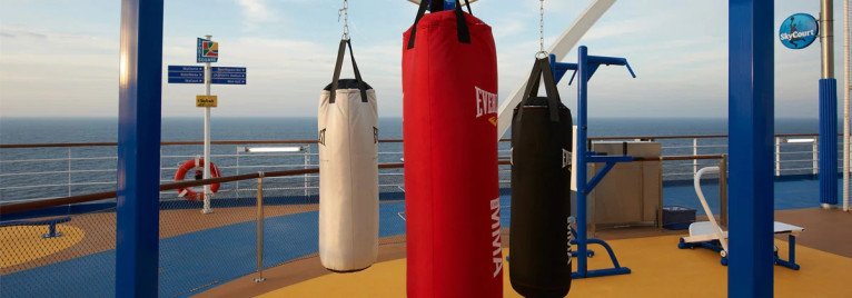 SkyFitness