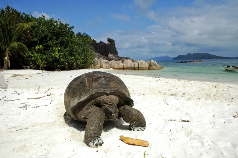 Included Excursions on Emerald Kaia