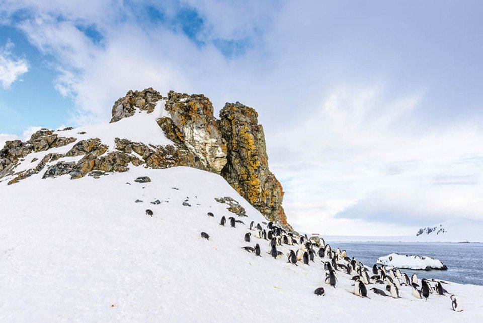Antarctica