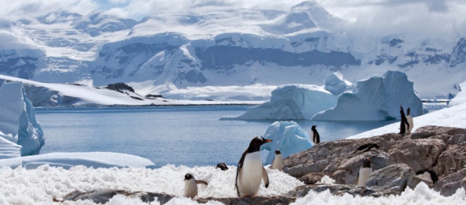 Antarctica