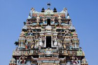 13 Image 13