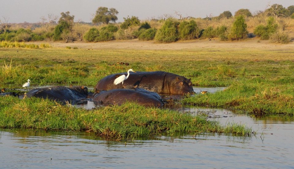 Botswana