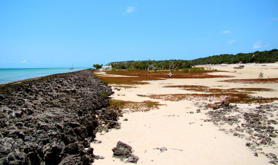 Mozambique