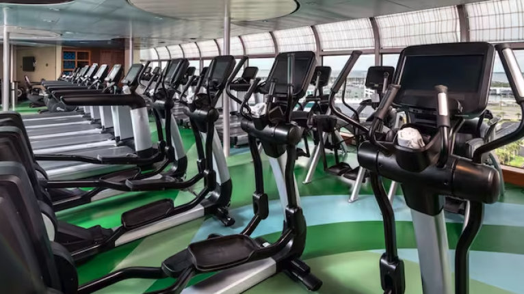 Disney Cruise Line gallery image