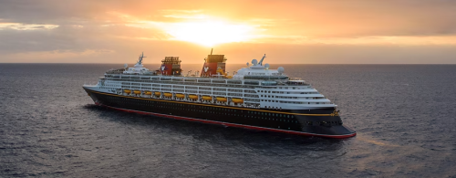 Disney Wonder Image