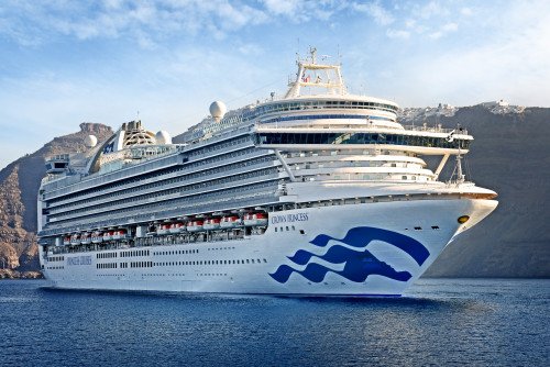 Crown Princess Image