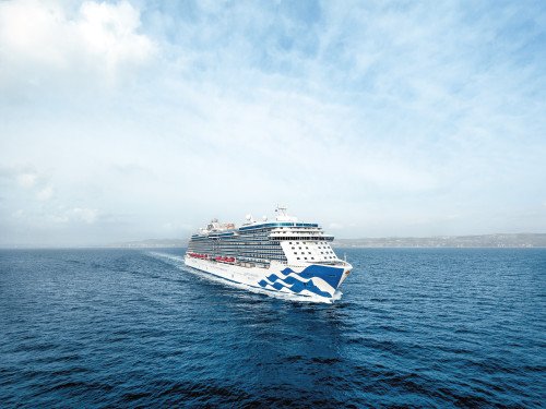 Majestic Princess Image