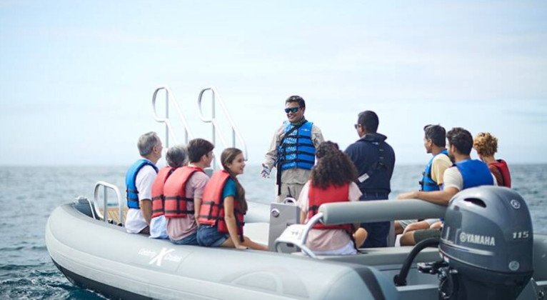 Galapagos Cruises