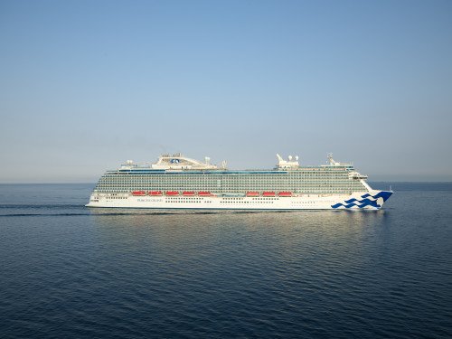 Enchanted Princess Image
