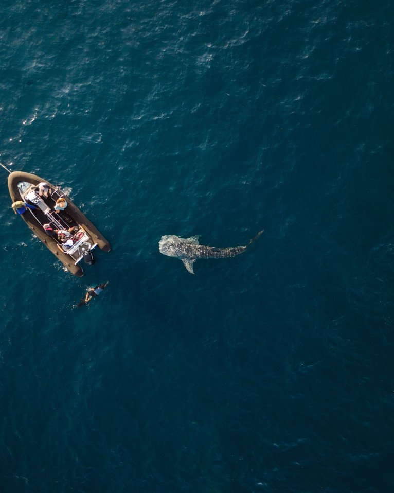Excursions on Aqua Blu