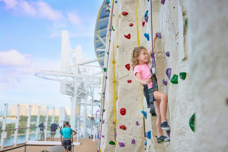 Adrenaline Peak on Icon of The Seas