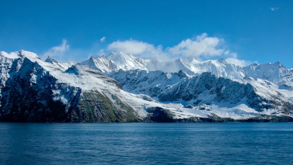 7 Image 7