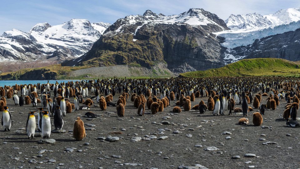 Buenos Aires to Puerto Williams search image