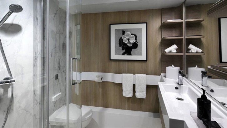 Deluxe Inside Stateroom