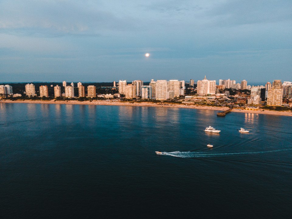 Tastes of Discovery Series: Rhythms of the Brazilian Coastline with Chef Luciana Berry search image
