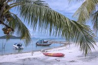 13 Image 13