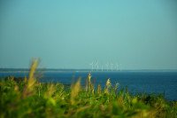 30 Image 30