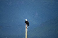 5 Image 5