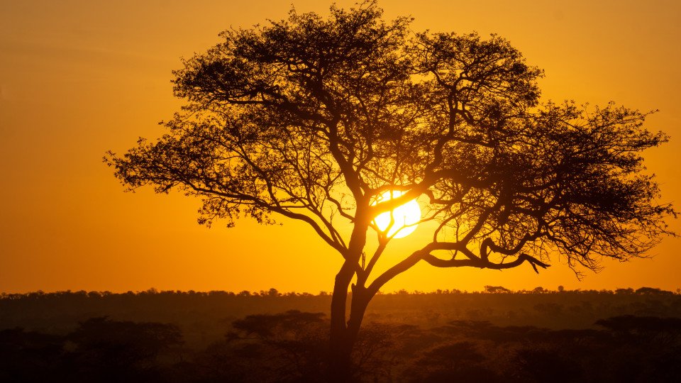 Tanzania