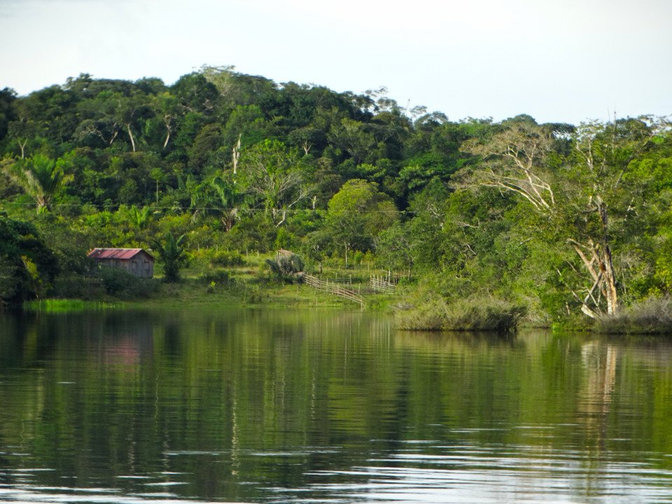 9-Day Heart Of The Amazon search image