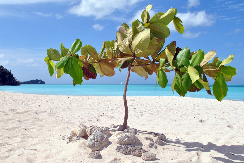 Antigua_and_Barbuda