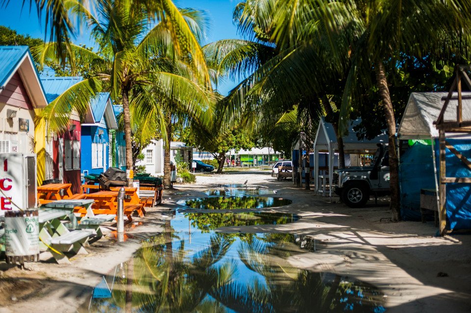 Caribbean search image