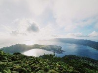 7 Image 7