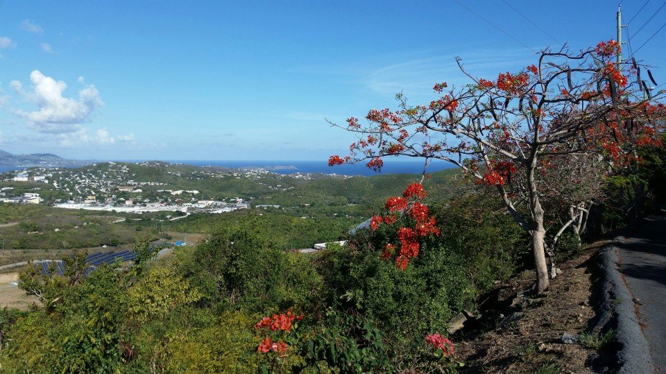 Frenchman's Cay cruise port
