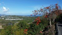 Frenchman's Cay cruise port