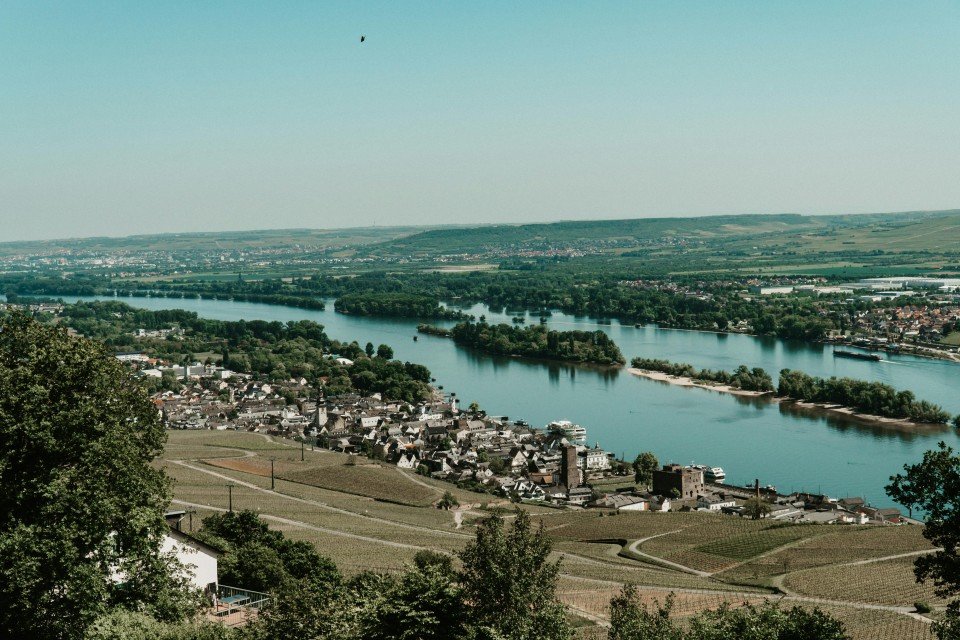 Vineyards Of The Rhine & Moselle search image