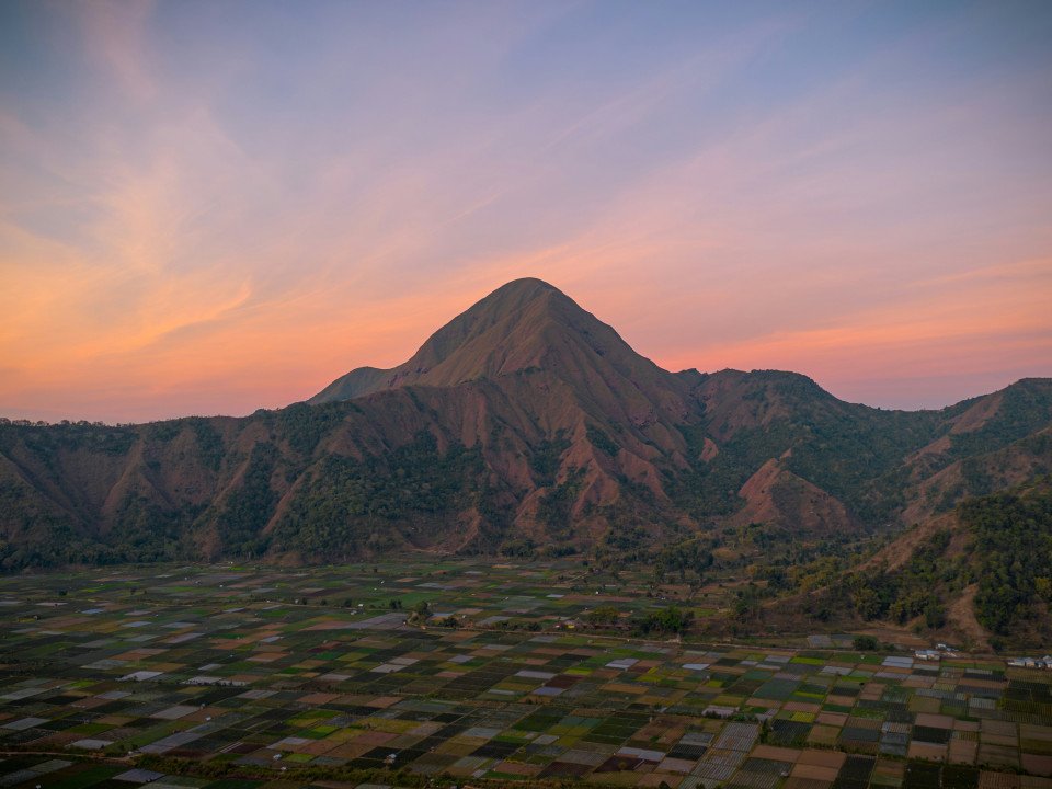 12 Image 12