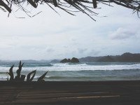 13 Image 13