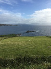 5 Image 5