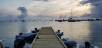 5 Image 5
