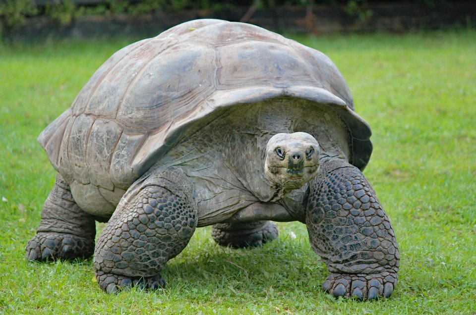 Seychelles