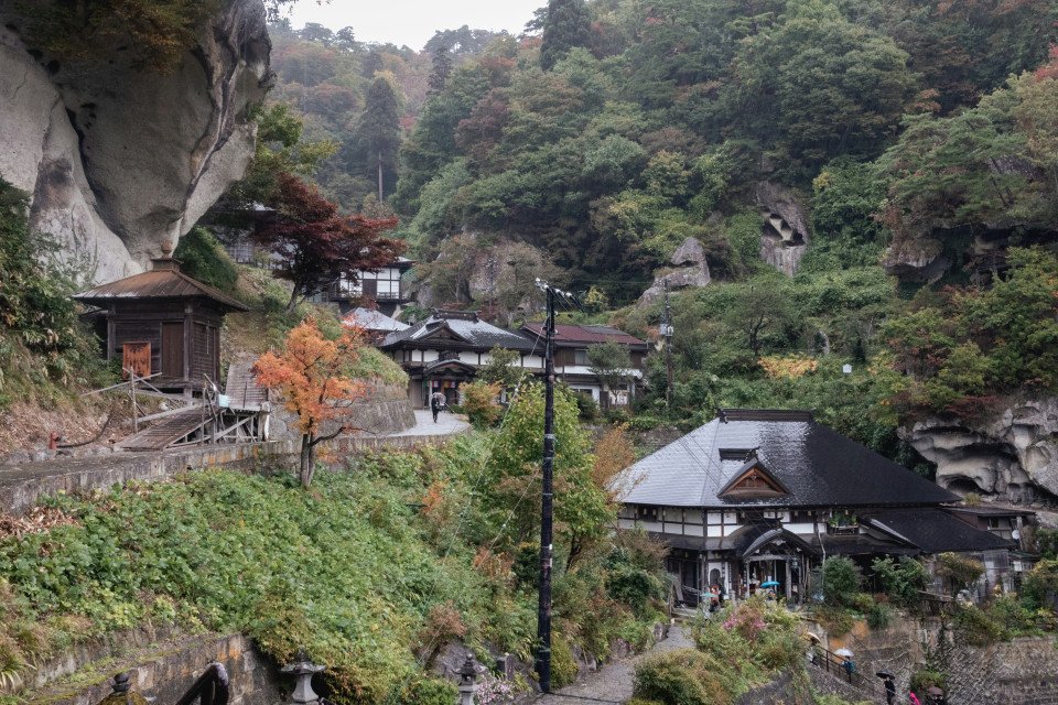 7 Image 7