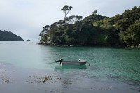 13 Image 13