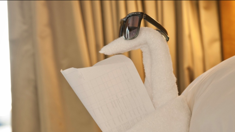 Folding Artistry on Jewel of the Seas