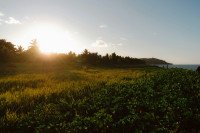 6 Image 6